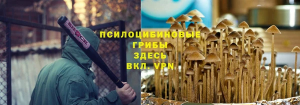 PSILOCYBIN Дмитровск